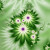 Some of the fractal images you can buy on phone cases and other gifts on Zazzle Some of the fractal images you can buy on phone cases and other gifts on Zazzle