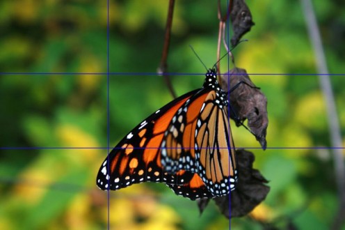 An example of the Rule of Thirds
