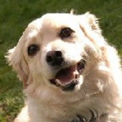 biscuitfund profile image