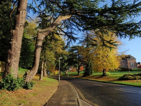  Streatham Drive. One of main arteries of Exeter University's Streatham campus climbing past the Washington Singer building (right).