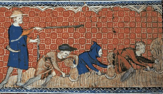 Illustration of medieval serfs harvesting wheat.