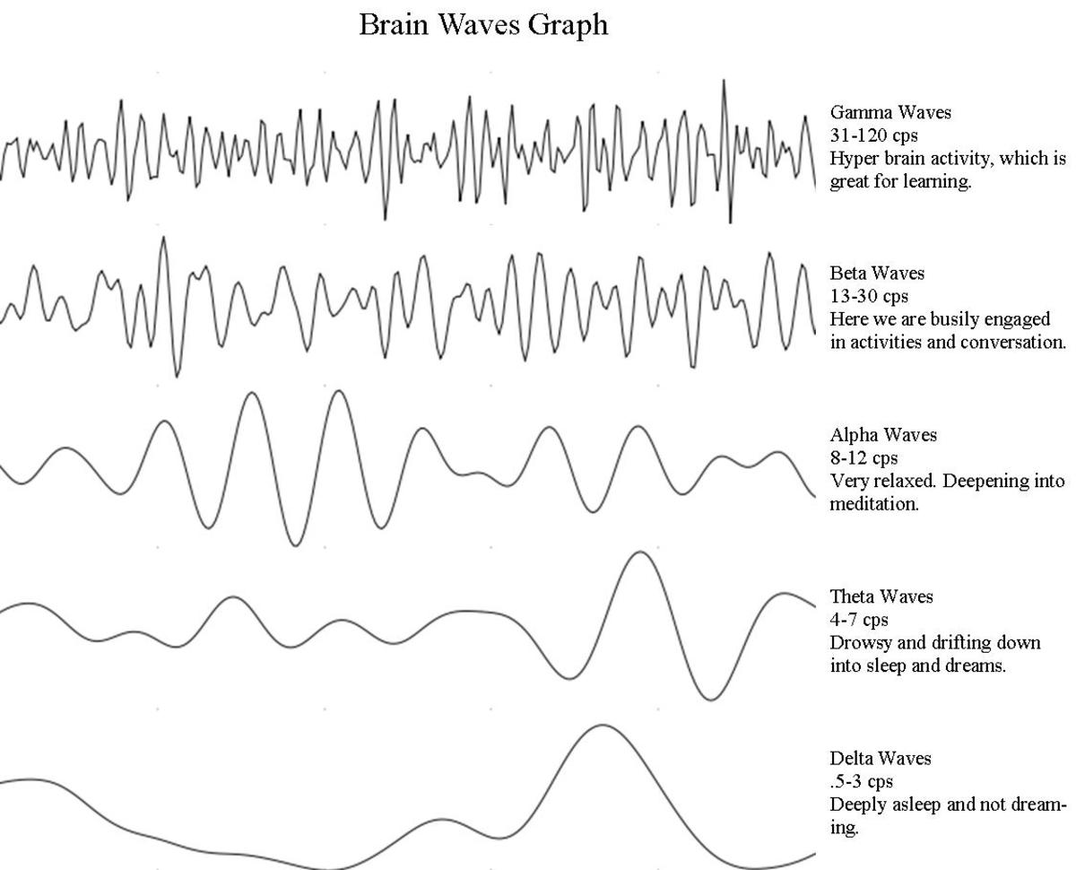 brain waves