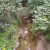 Reedy Creek Nature Preserve South Fork Trail
