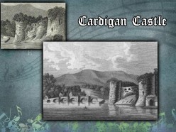 Steps Back In Time: Cardigan Castle.