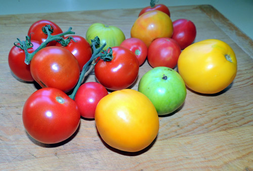 wash the tomatoes