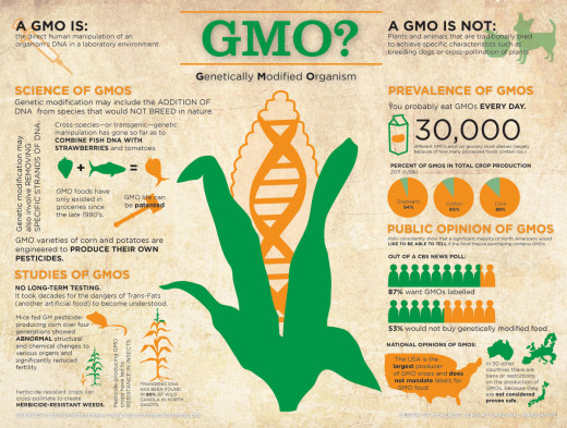 GMOs explained