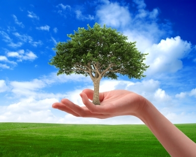 Save Trees, Save Forests