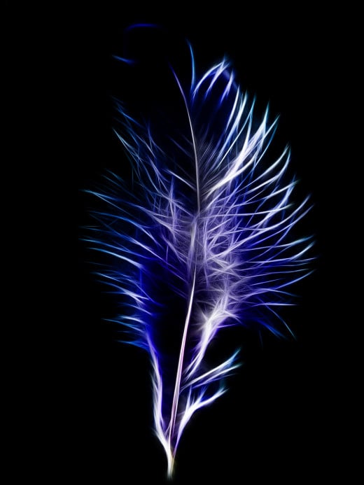 A fractalius feather