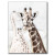 A giraffe sketch on a postcard in my Zazzle store.