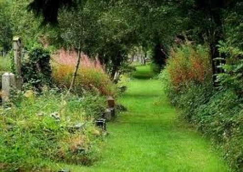 Throught the leafy lane to the farmers' fields