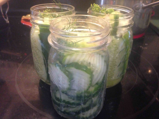Cucumbers sliced, spiced and ready for brine!