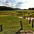 Grass covering the higher ground Grass covering the higher ground