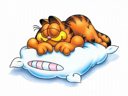 Garfield, The King Of Sleepy Heads!