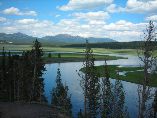 The Majesty of Nature