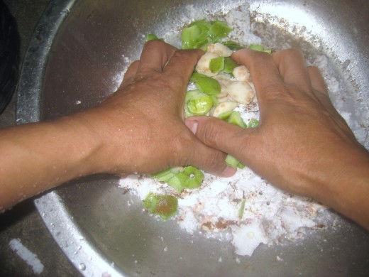 Squeezing grated coconut in little water plus the guava peelings and cored seeds
