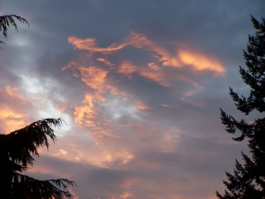 Rosy skies are yours with proper pricing
