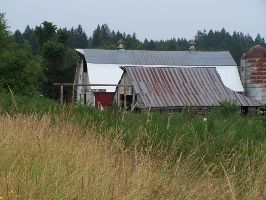 One barn photo for one magazine