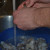 Peel your shrimp. Peel your shrimp.
