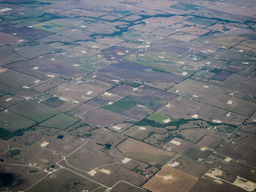 Developed Land. Where can you hunt and forage, here? 