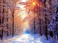 Seasons Are Subject to Change