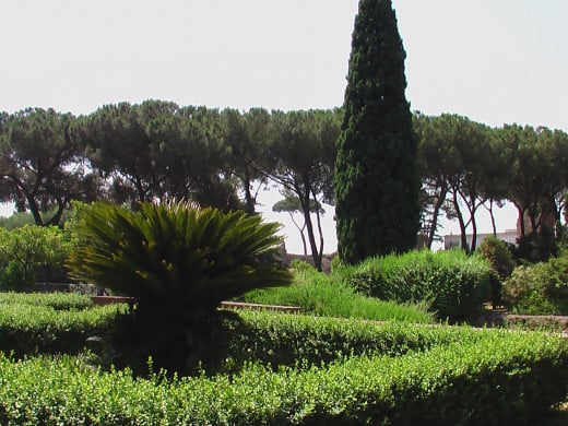 Gardens on the Palatine Hill, Rome