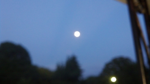 Moonlight in NC