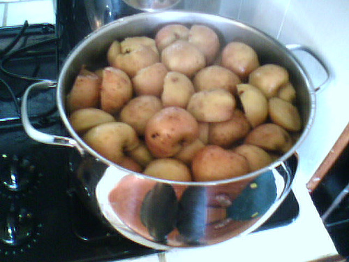 After I give them a thorough washing, I cook the apples before I make the apple sauce
