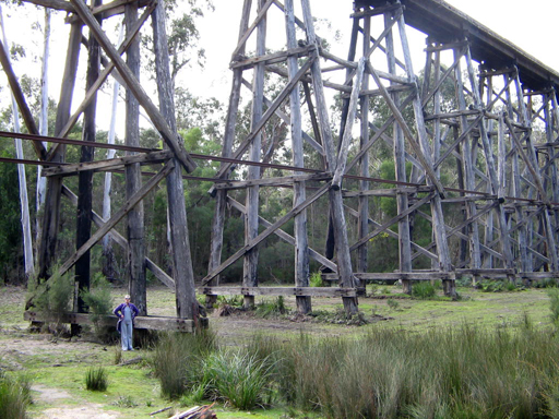 The Stony Creek Trestle Bridge near Nowa Nowa towers over a person
