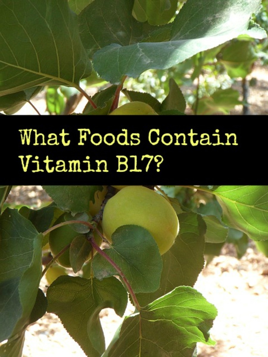 What foods contain vitamin B17?