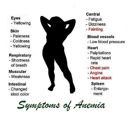 Symptoms of Anemia