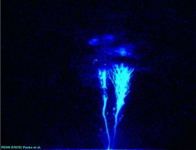 Blue jets are also a phenomenon associated with lightning and occur above the highest cloud tops.
