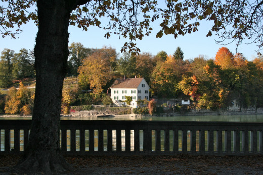 Scene on the Rhine River, facing Switzerland