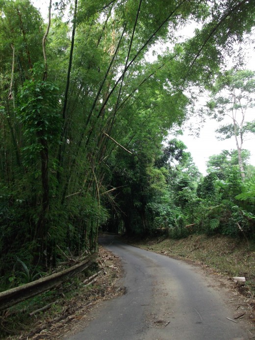 Road