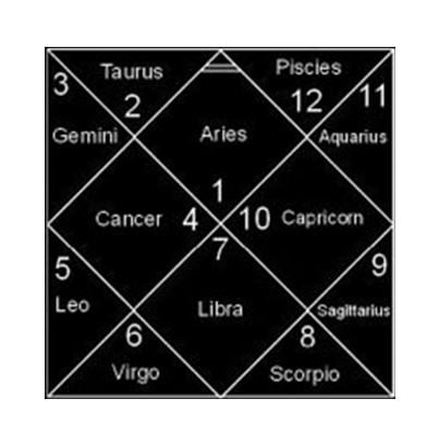 12 Houses in Horoscope Chart