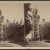 A post card of City Hall before its restoration A post card of City Hall before its restoration