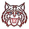 AZWildcats profile image