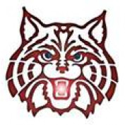 AZWildcats profile image