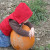 What says Autumn more than picking a pumpkin? What says Autumn more than picking a pumpkin?
