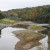 A drought plagued creek surrounded by changing colors. A drought plagued creek surrounded by changing colors.