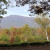 Even the mountains have shades of autumn. Even the mountains have shades of autumn.