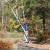 My husband likes white birches. My husband likes white birches.