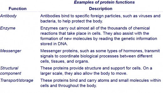 Protein Function