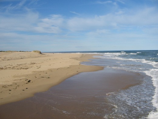 Our beaches do not get all that crowded especially on the "90 Mile Beach"