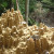 A mini-city in the forest A mini-city in the forest