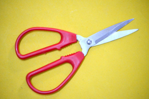 Image of scissors courtesy of Peter Griffin on publicdomainpictures.com