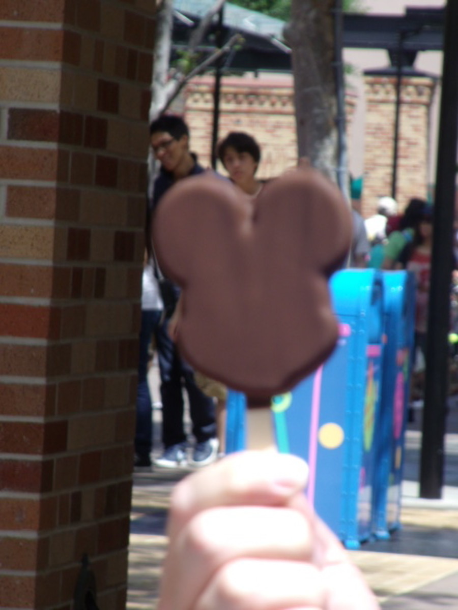 No trip to Walt Disney World is complete without a Mickey Ice Cream 