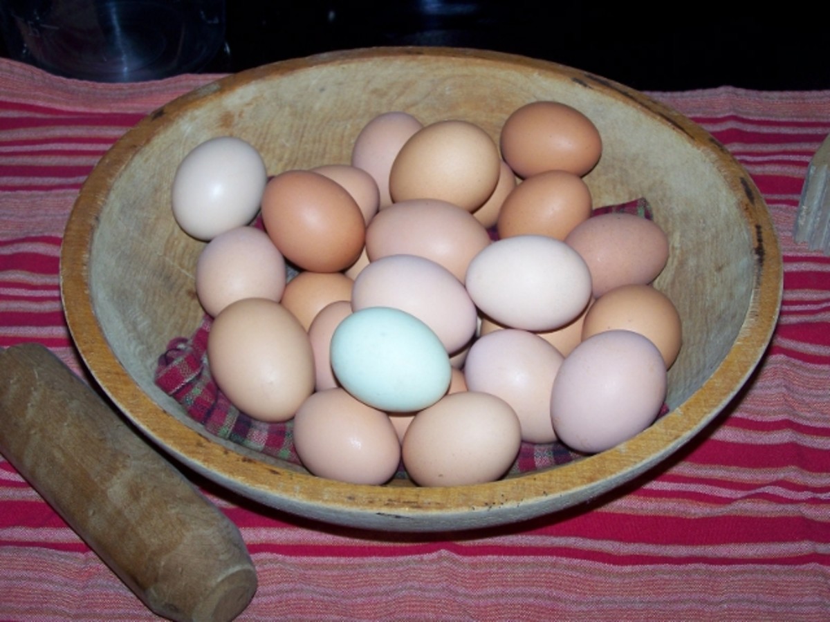 Hard Cooked Eggs In The Oven. Shirred Eggs Recipes.