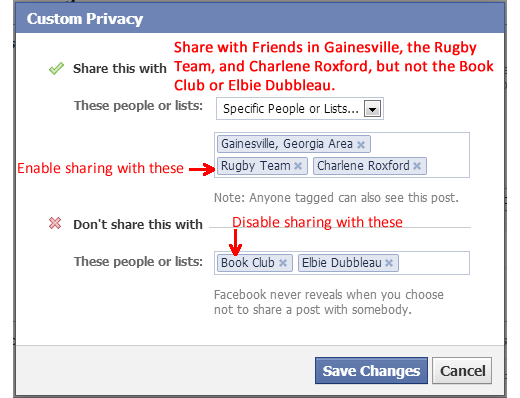 Filled in Example of Facebook Custom Privacy Dialog Box