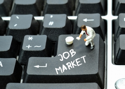 The Job Market Complexity