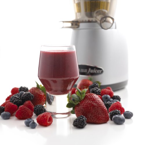 Omega VRT350HD Juicing Berries